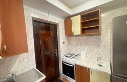 Garsoniera 22 mp, Etajul 1, zona Lapus- Facultatea de Automatica