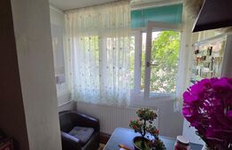 Apartamen de vanzare, cu 3 camere, etaj 1, 47 mp utili, zona Craiovita Noua