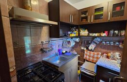 Apartamen de vanzare, cu 3 camere, etaj 1, 47 mp utili, zona Craiovita Noua