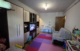 Apartamen de vanzare, cu 3 camere, etaj 1, 47 mp utili, zona Craiovita Noua