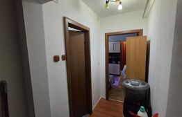 Apartamen de vanzare, cu 3 camere, etaj 1, 47 mp utili, zona Craiovita Noua