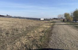 Teren intravilan 500mp, Pielesti, langa lac