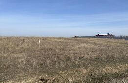 Teren intravilan 500mp, Pielesti, langa lac