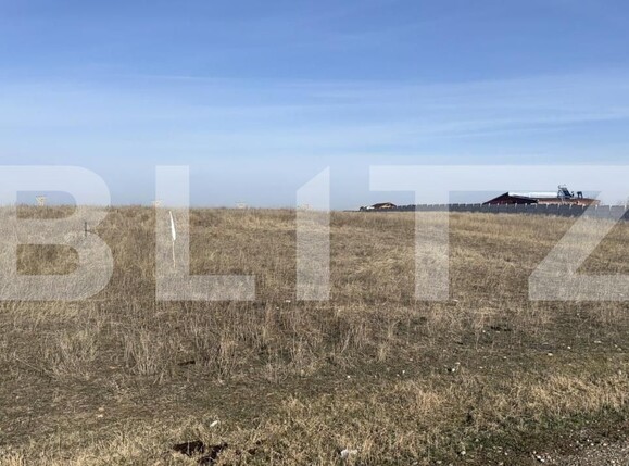 Teren de vânzare Pielești - 170419TV | BLITZ Craiova | Poza2