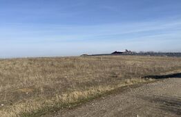 Teren intravilan 500mp, Pielesti 