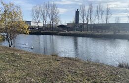 Teren intravilan 500mp, Pielesti 