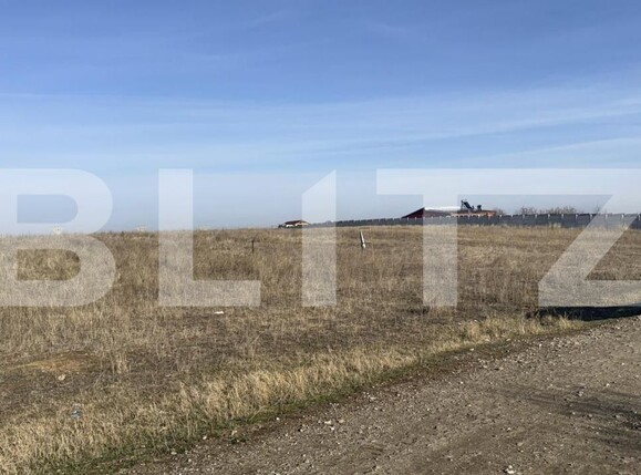 Teren de vânzare Pielești - 170425TV | BLITZ Craiova | Poza3