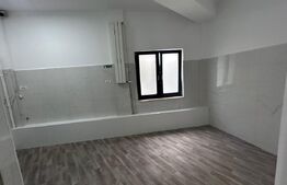 Spatiu comercial, de inchiriat, 50 mp, zona Eugenia