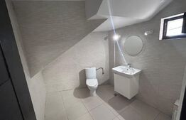 Spatiu comercial, de inchiriat, 50 mp, zona Eugenia