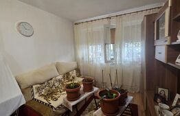 Apartament de vanzare, cu 2 camere, 45 mp, zona Simplon, Brazda