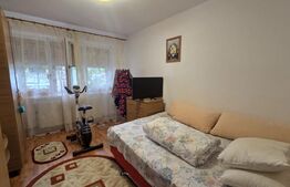 Apartament de vanzare, cu 2 camere, 45 mp, zona Simplon, Brazda