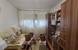 Apartament de vanzare, cu 2 camere, 45 mp, zona Simplon, Brazda