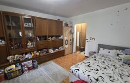 Garsoniera de vanzare, 30 mp, etaj intermediar, zona Brazda