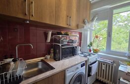 Garsoniera de vanzare, 30 mp, etaj intermediar, zona Brazda