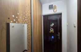 Garsoniera de vanzare, 30 mp, etaj intermediar, zona Brazda