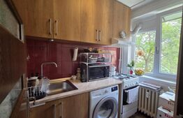 Garsoniera de vanzare, 30 mp, etaj intermediar, zona Brazda