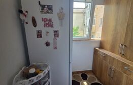 Garsoniera de vanzare, 30 mp, etaj intermediar, zona Brazda