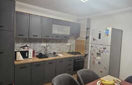 Casă P + M cu toate utilitatile,  130 mp, zona Ford