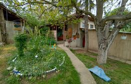 Teren 3000mp+casa veche, Leamna de Sus