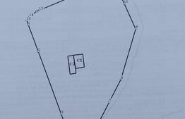 Teren 3000mp+casa veche, Leamna de Sus