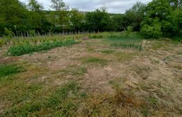 Teren 3000mp+casa veche, Leamna de Sus