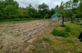 Teren 3000mp+casa veche, Leamna de Sus