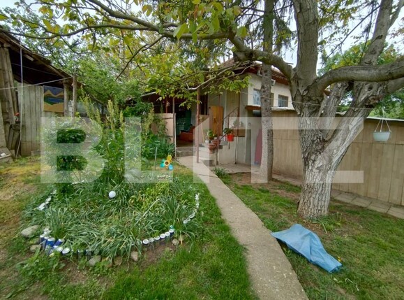 Casa de vânzare 1 camera Leamna de Sus - 170598CV | BLITZ Craiova | Poza1