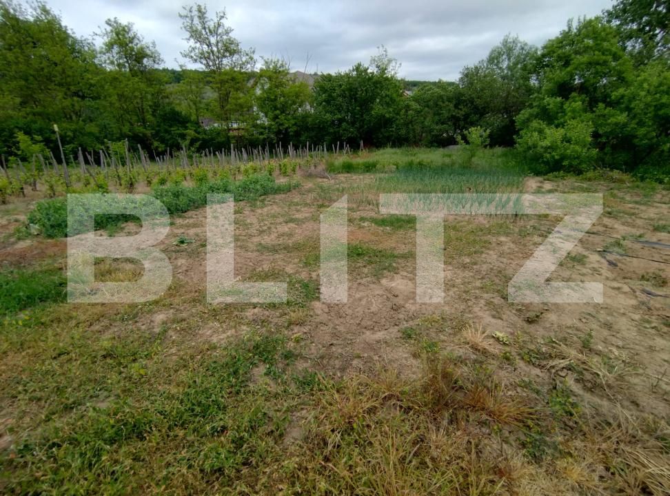 Casa de vânzare 1 camera Leamna de Sus - 170598CV | BLITZ Craiova | Poza5