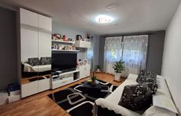Apartament de vanzare, cu 2 camere, 52 mp, zona Brazda lui Novac