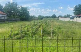 Teren intravilan Cârcea 2900mp