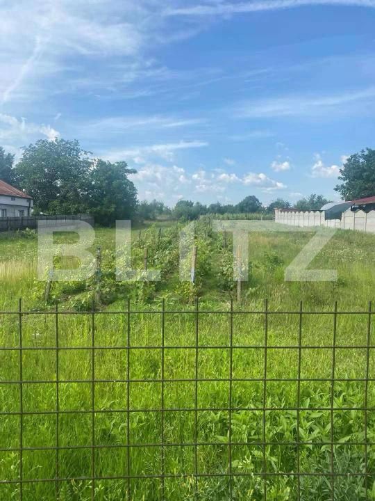 Teren de vânzare Carcea  - 170791TV | BLITZ Craiova | Poza1