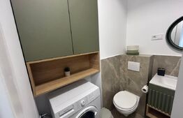 Studio de inchiriat, 38 mp, zona Rovine