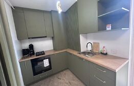 Studio de inchiriat, 38 mp, zona Rovine