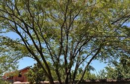 Vila de vanzare, cu 11 camere, 550 mp, zona Bariera Vâlcii