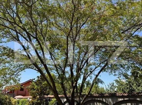 Casa de vânzare 11 camere Bariera Valcii - 170894CV | BLITZ Craiova | Poza5