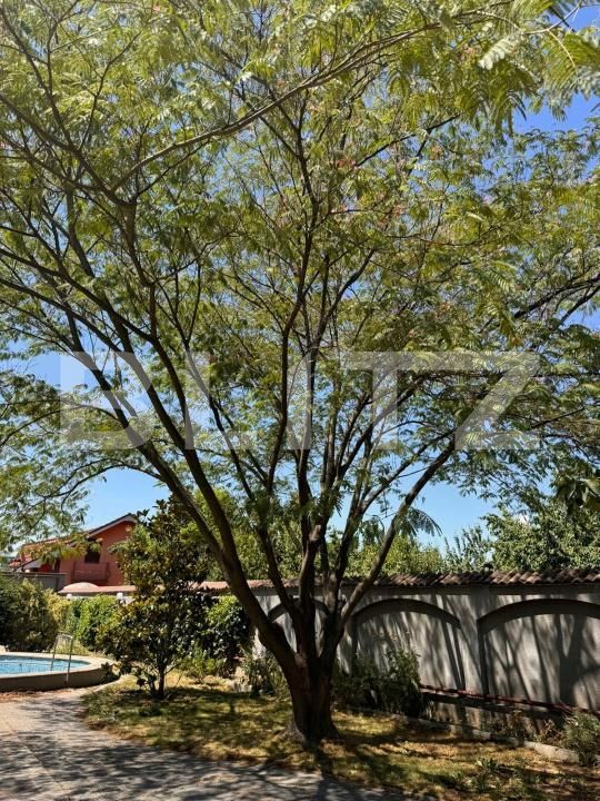 Casa de vânzare 11 camere Bariera Valcii - 170894CV | BLITZ Craiova | Poza5