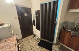 Camera de camin, de vanzare, 20 mp,  zona Lapus
