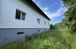 Casa de vanzare, 280 mp utili, 480 mp teren, Plaiul Vulcanesti