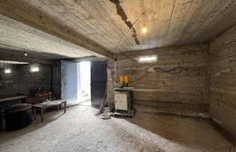 Casa de vanzare, 280 mp utili, 480 mp teren, Plaiul Vulcanesti