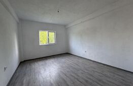 Casa de vanzare, 280 mp utili, 480 mp teren, Plaiul Vulcanesti