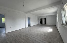 Casa de vanzare, 280 mp utili, 480 mp teren, Plaiul Vulcanesti