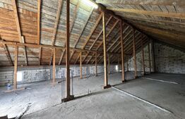 Casa de vanzare, 280 mp utili, 480 mp teren, Plaiul Vulcanesti