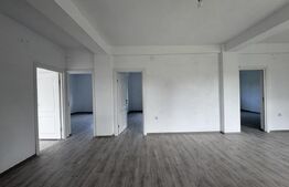 Casa de vanzare, 280 mp utili, 480 mp teren, Plaiul Vulcanesti