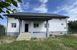 Casa de vanzare, 280 mp utili, 480 mp teren, Plaiul Vulcanesti