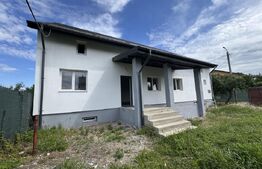 Casa de vanzare, 280 mp utili, 480 mp teren, Plaiul Vulcanesti