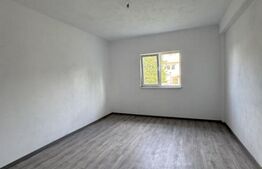 Casa de vanzare, 280 mp utili, 480 mp teren, Plaiul Vulcanesti