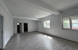 Casa de vanzare, 280 mp utili, 480 mp teren, Plaiul Vulcanesti