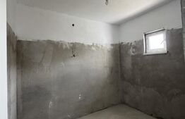 Casa de vanzare, 280 mp utili, 480 mp teren, Plaiul Vulcanesti