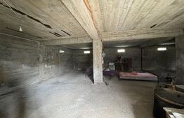 Casa de vanzare, 280 mp utili, 480 mp teren, Plaiul Vulcanesti