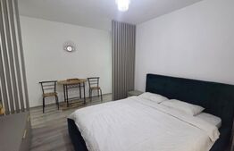 Grsoniera de vanzare, 26 mp, zona Centrala